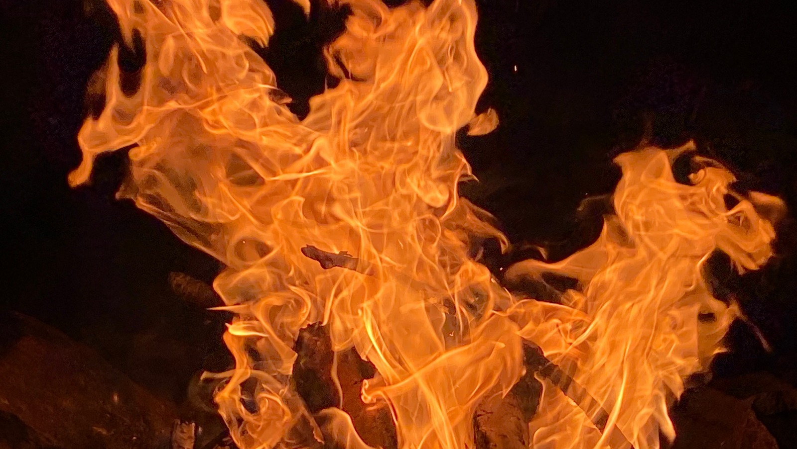 Елены Колоколовой.