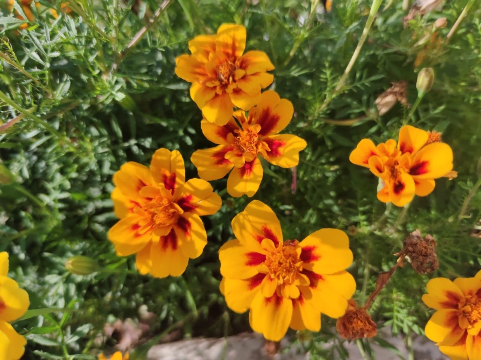 Дарьи Святохиной.