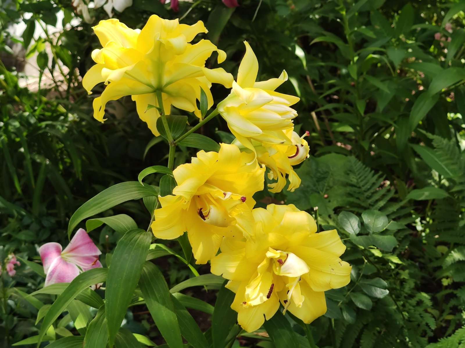 Дарьи Святохиной.