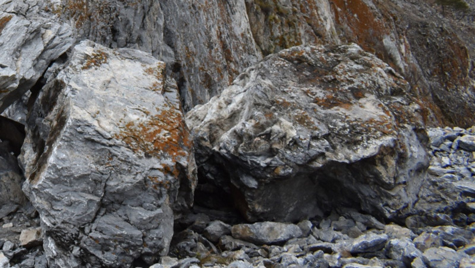 Елены Колоколовой.