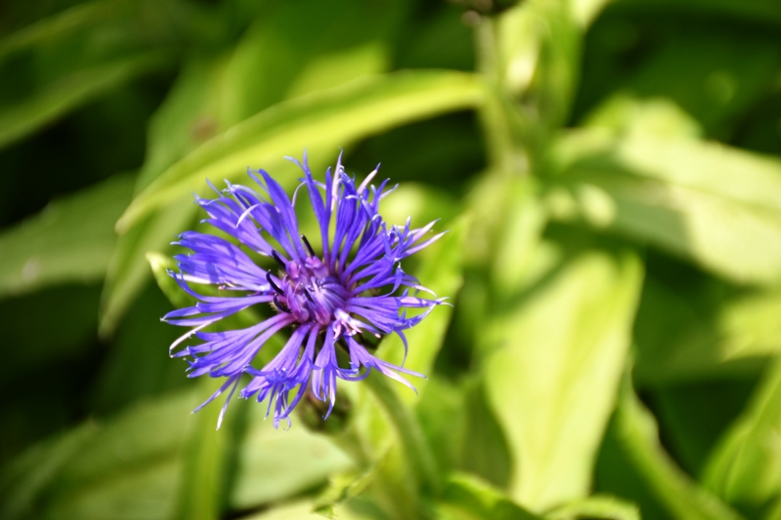 Фото автора.