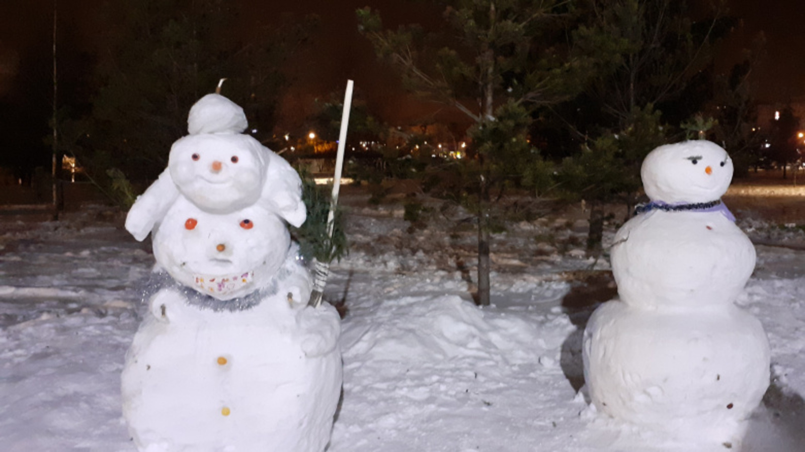 Фото автора.