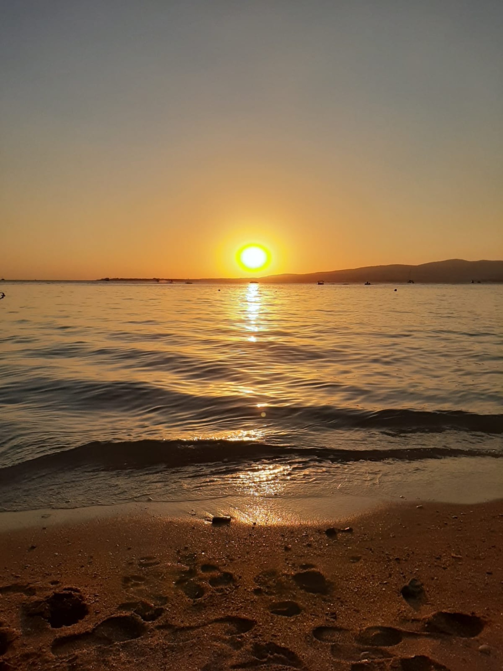 Светланы Грехановой.