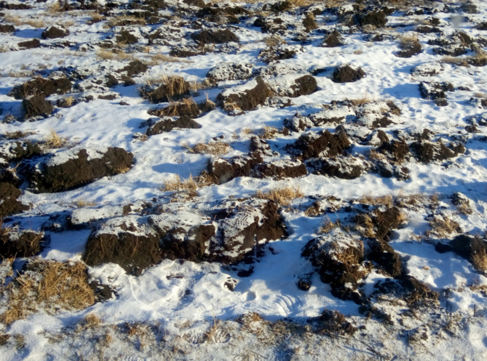 Фото Васили Саитовой.