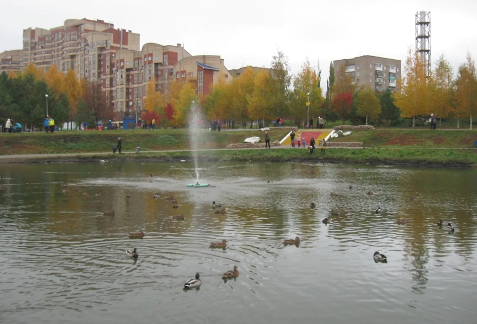 Фото автора.