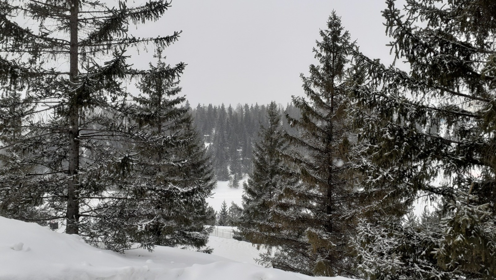 Владимира Шакиева. «Общественная электронная газета».