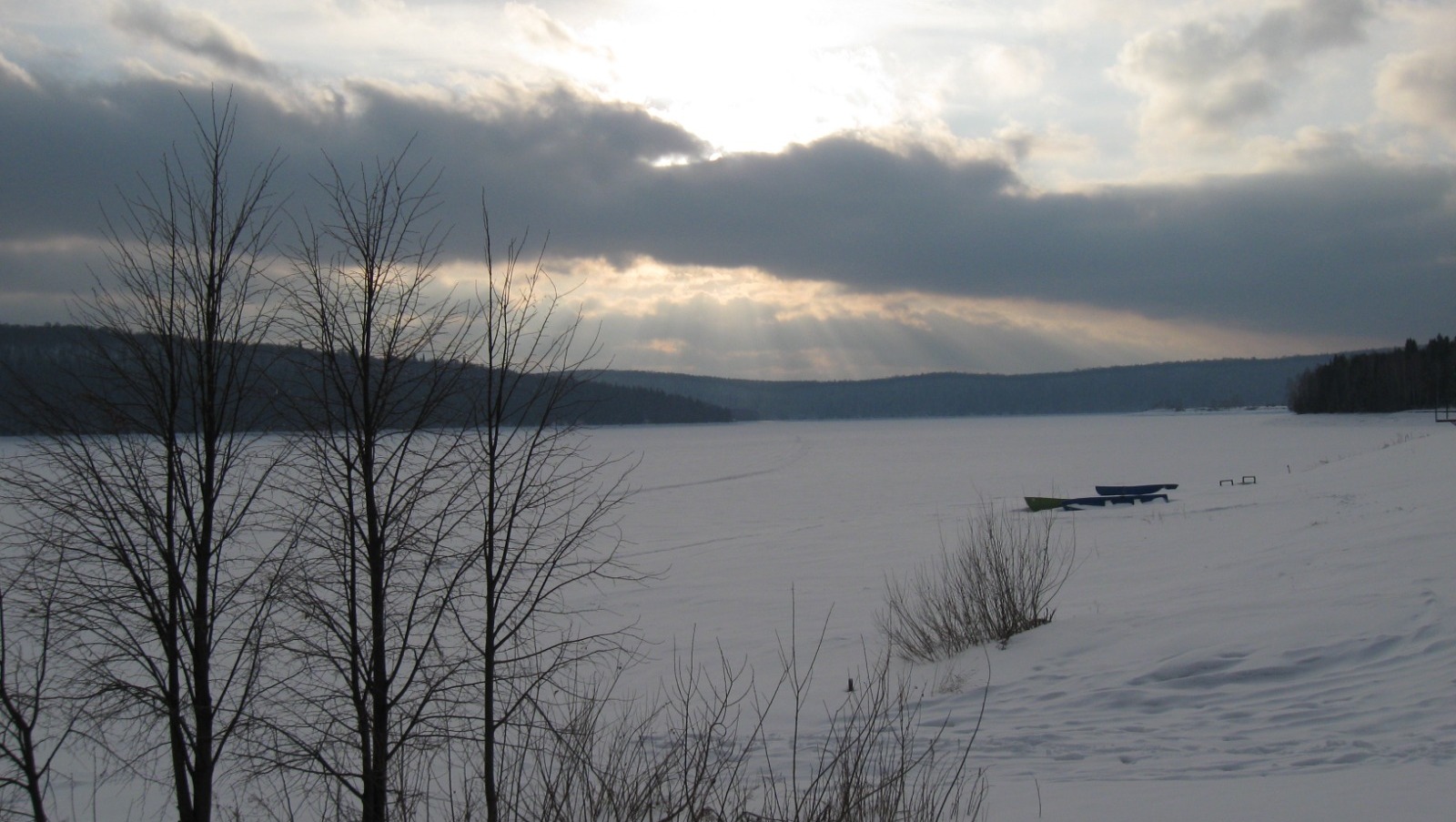 Елены Колоколовой.
