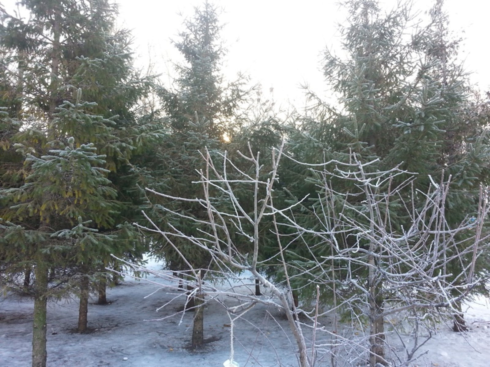 Фото автора.