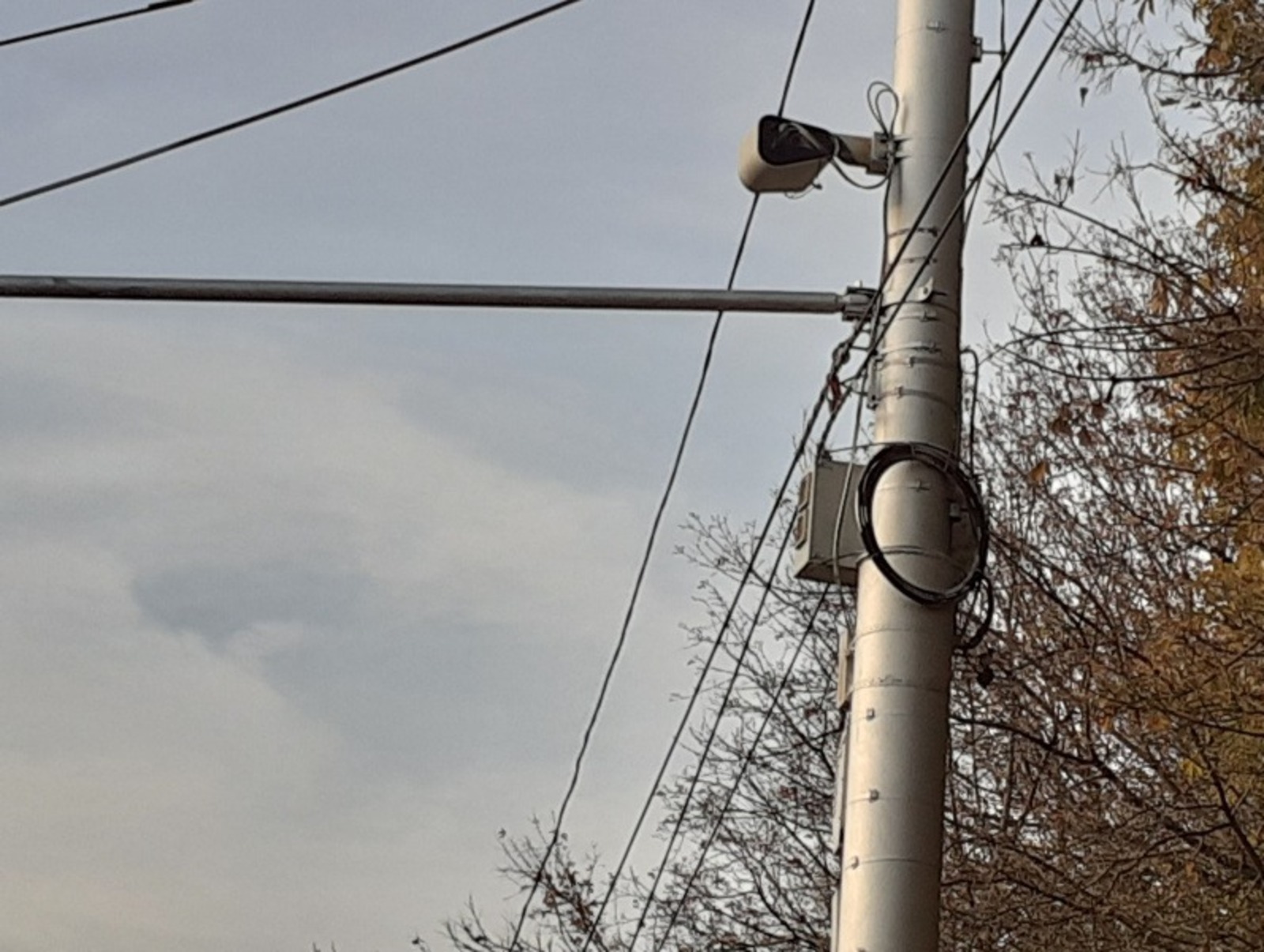 Владимира Шакиева.