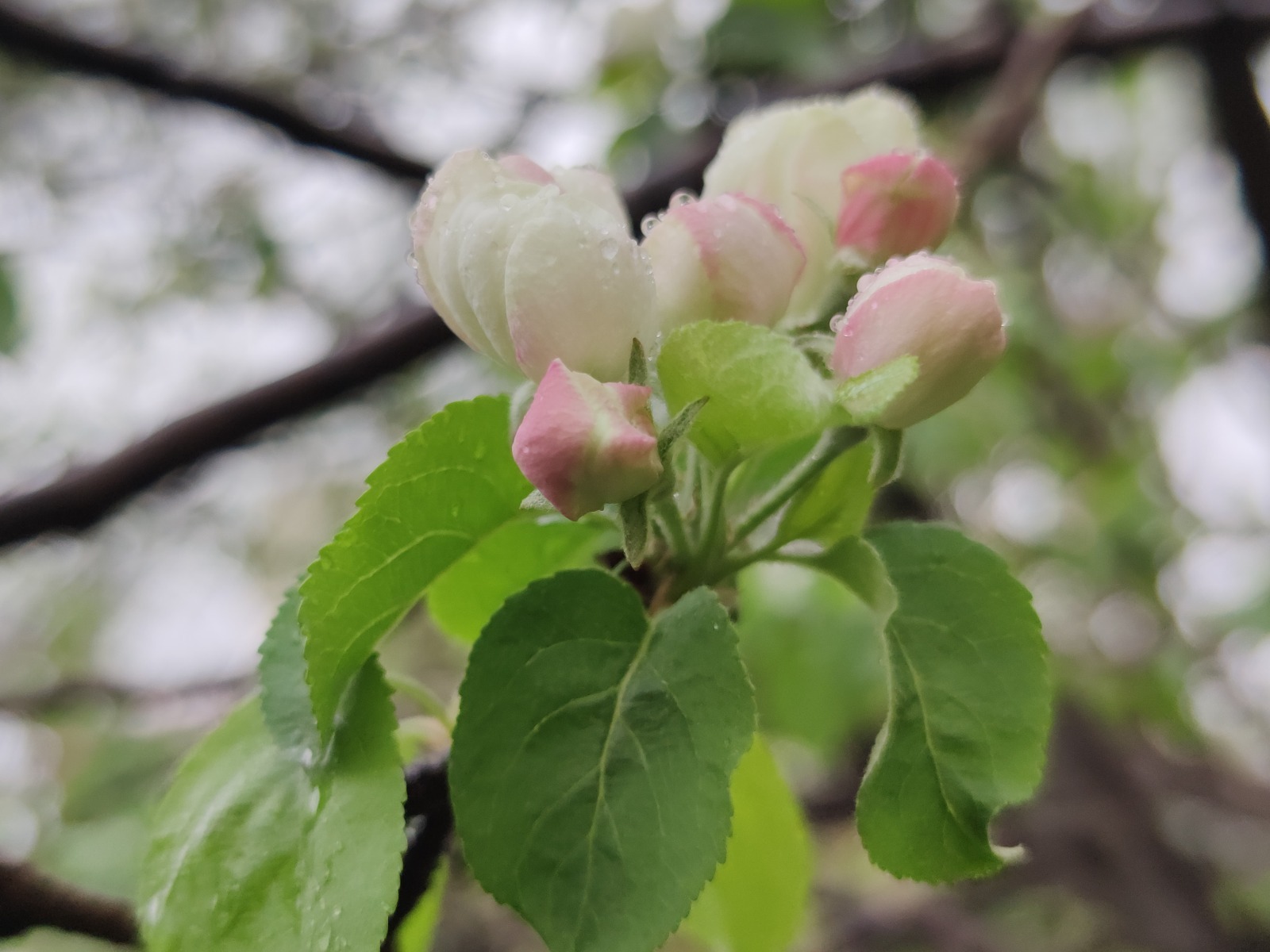 Дарьи Святохиной.