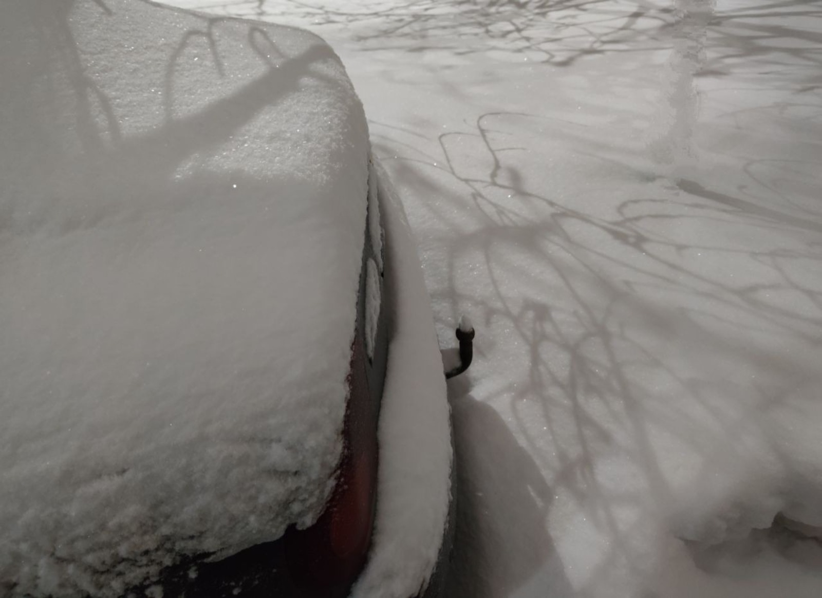 Дарьи Святохиной. «Общественная электронная газета».