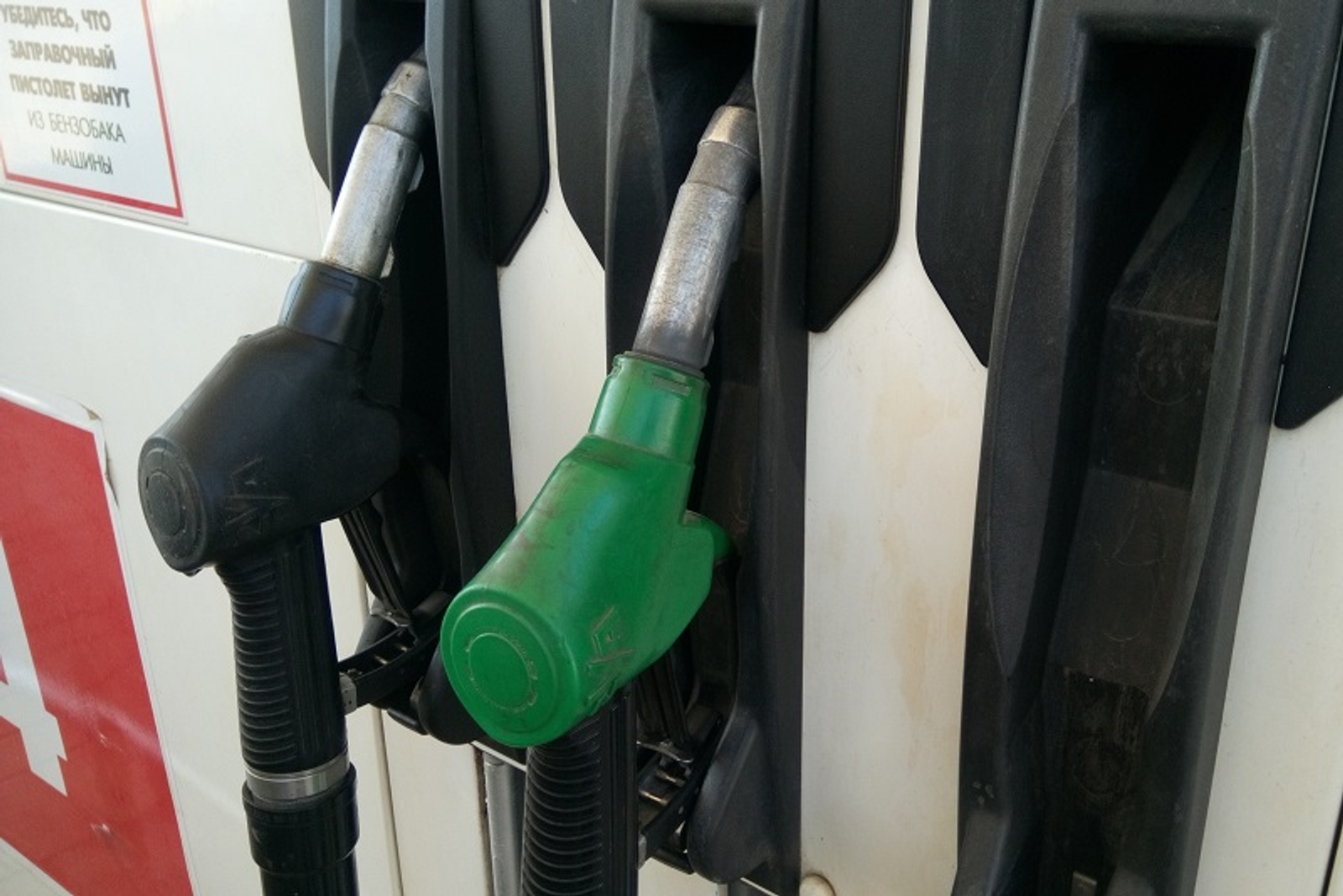 Фото Васили Саитовой.