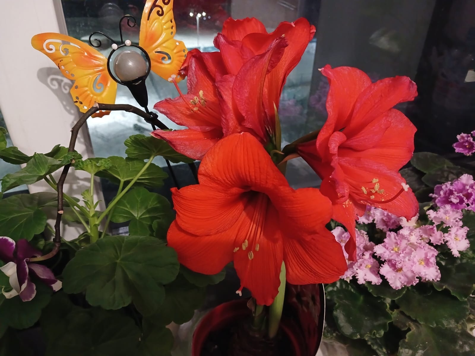 Васили Саитовой.