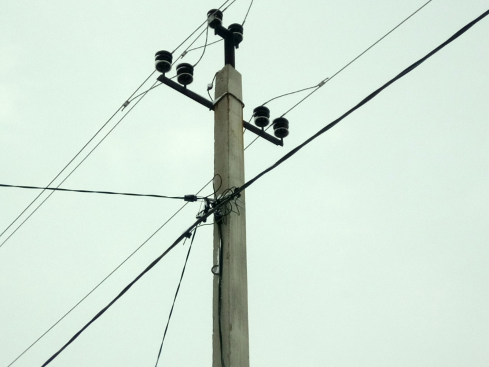 Фото Васили Саитовой.