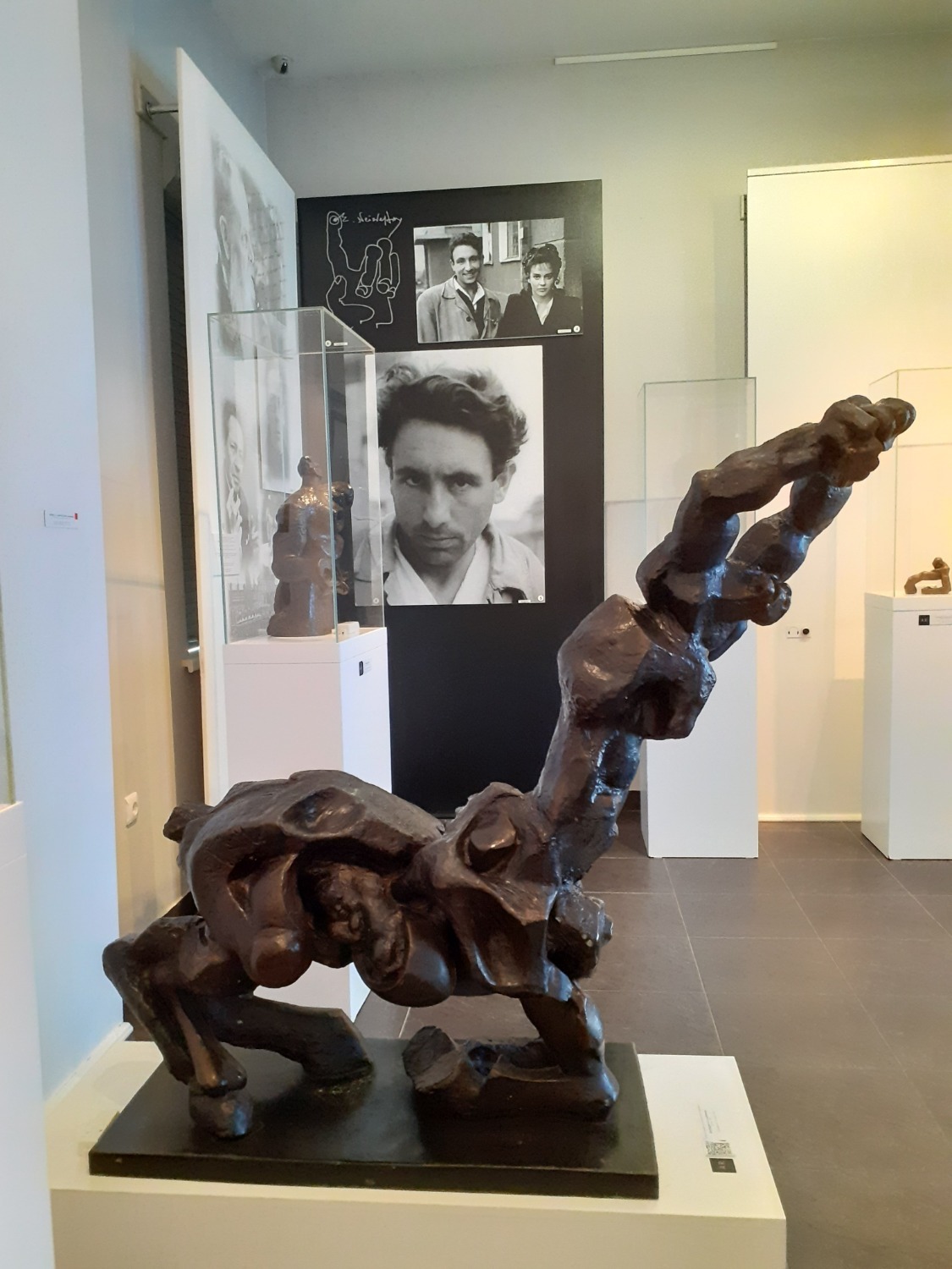 Владимира Шакиева.