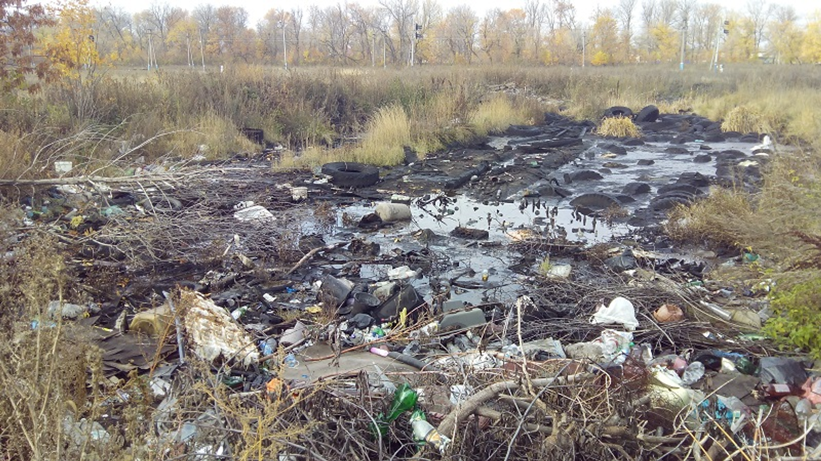 Фото предоставлено Марией Колодкиной.