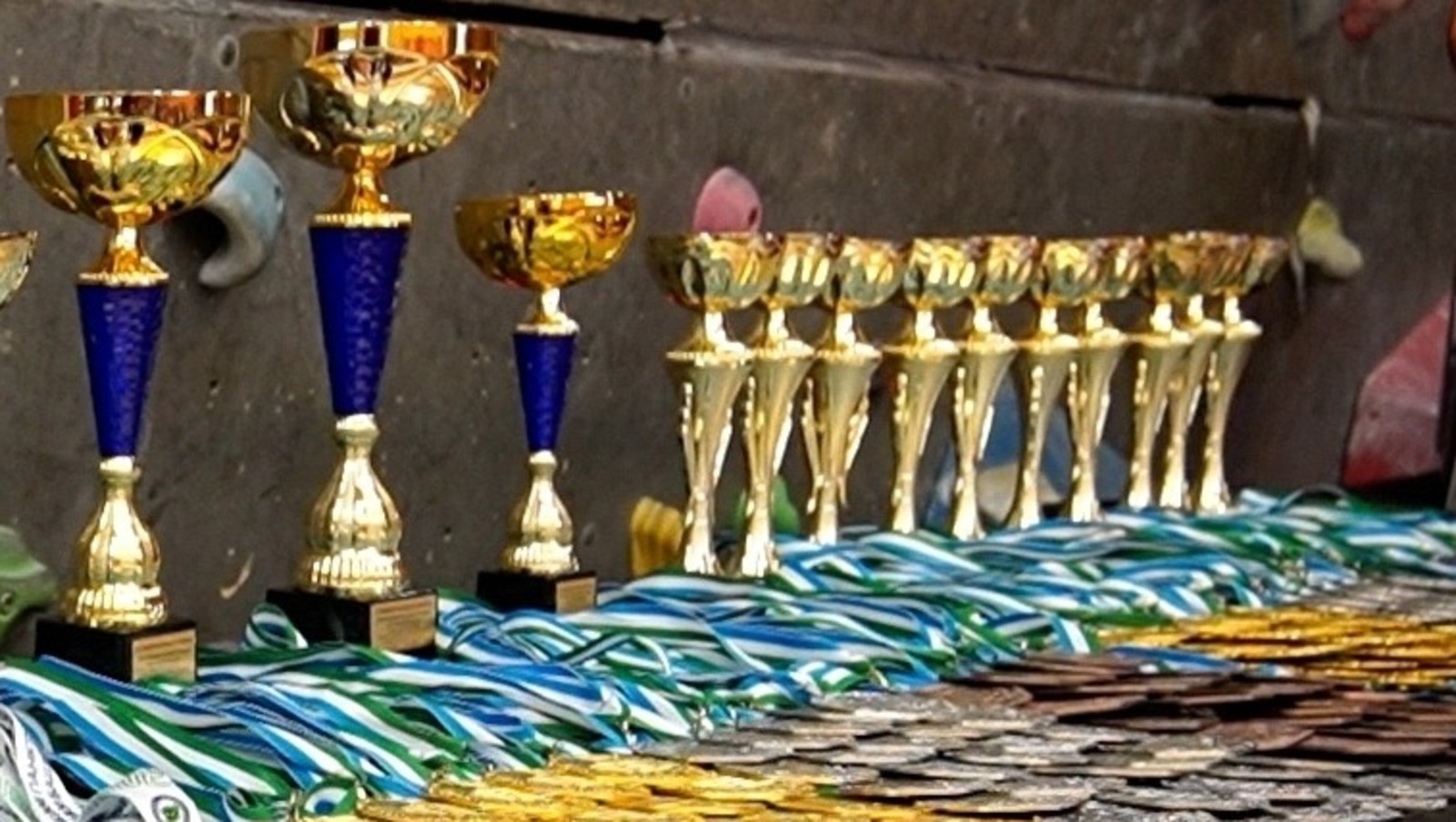 со страницы Федерации панкратиона РБ в соцсетях. со страницы Федерации панкратиона РБ в соцсетях.