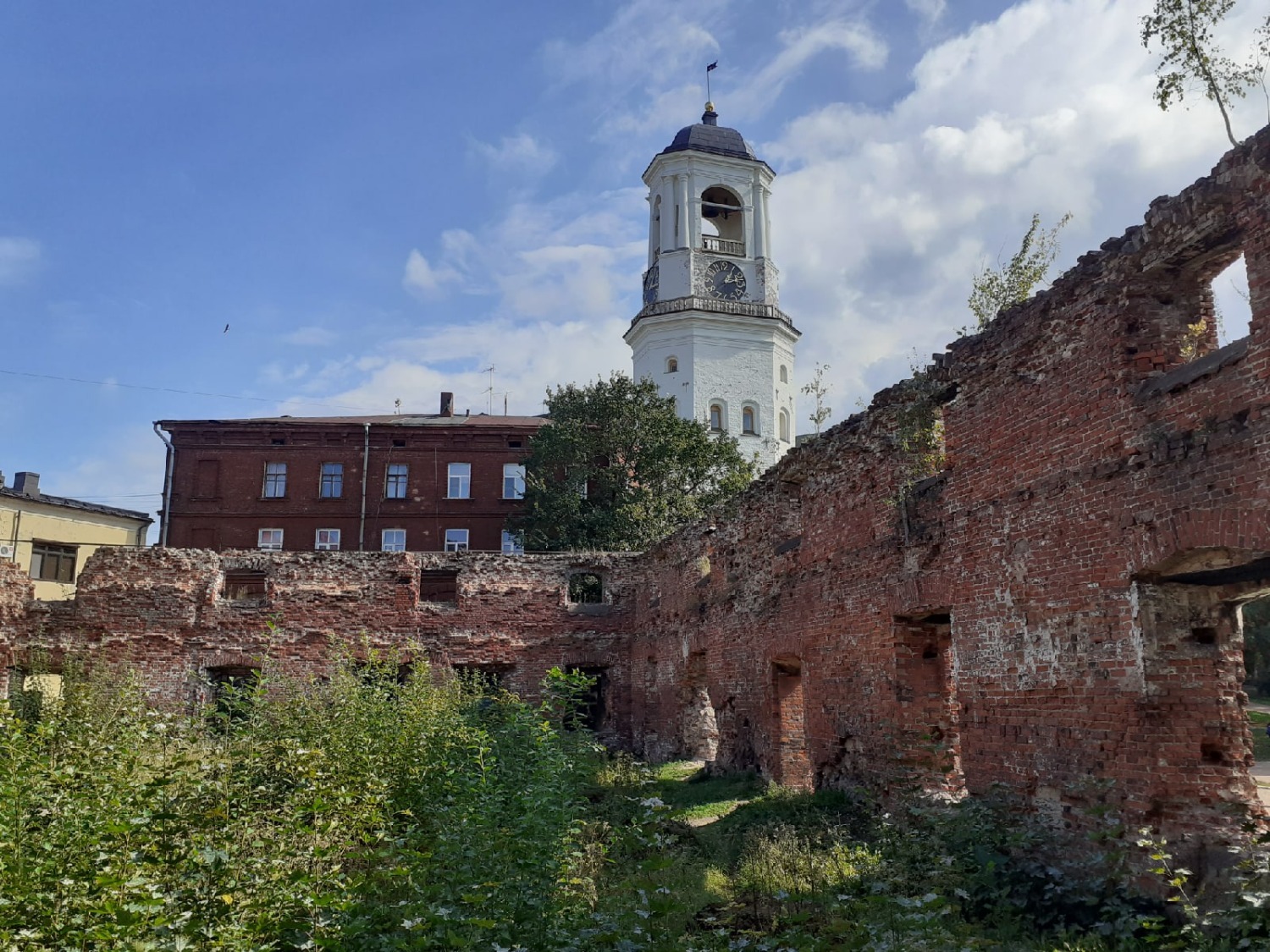 Владимира Шакиева.