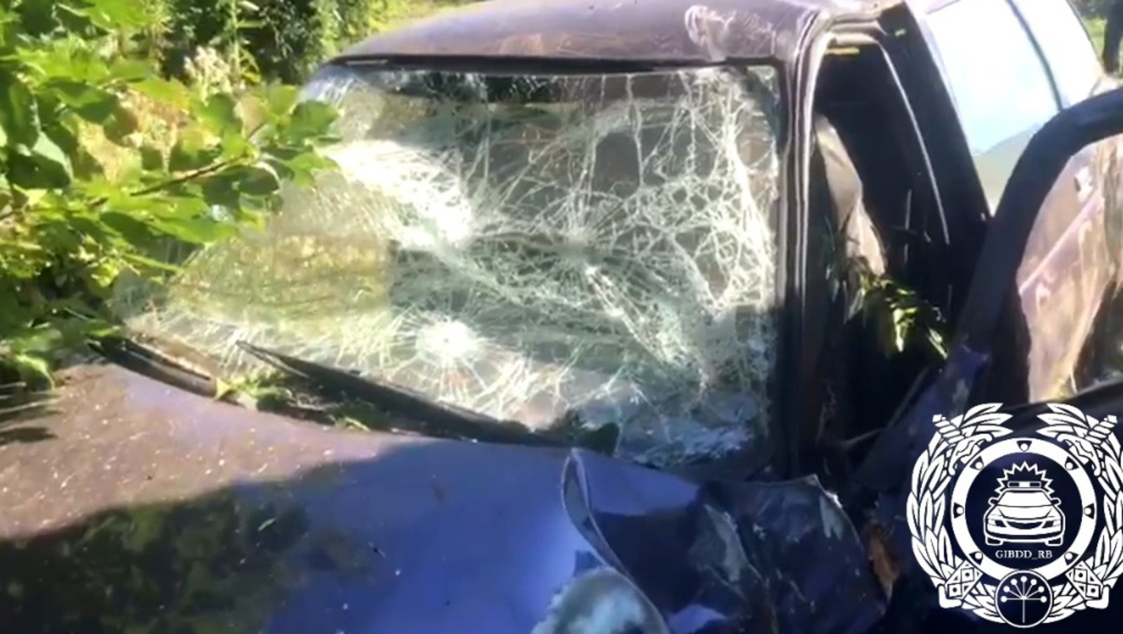 скрин видео.