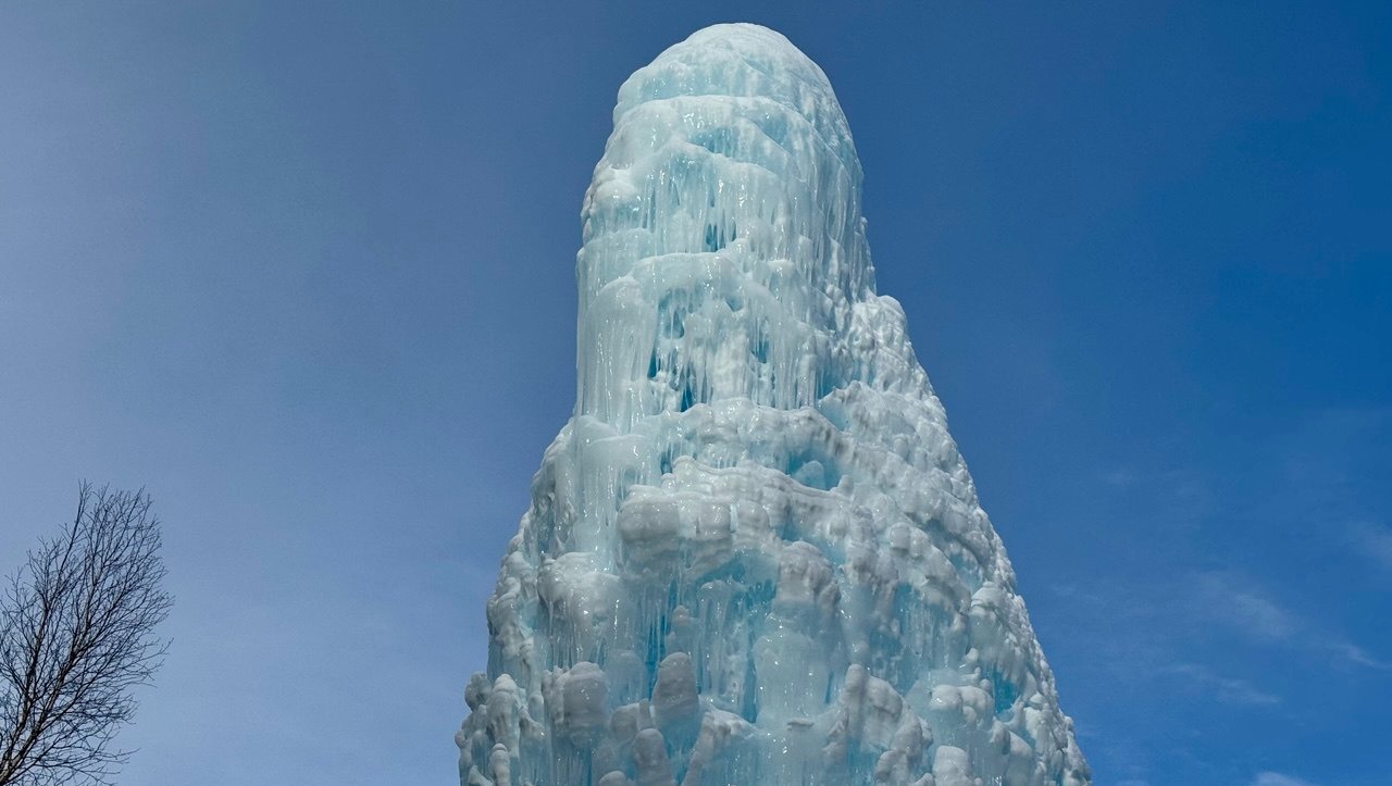 Елены Колоколовой.  «Общественная электронная газета».