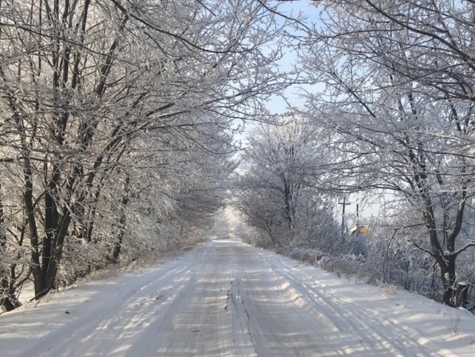 Фото автора.