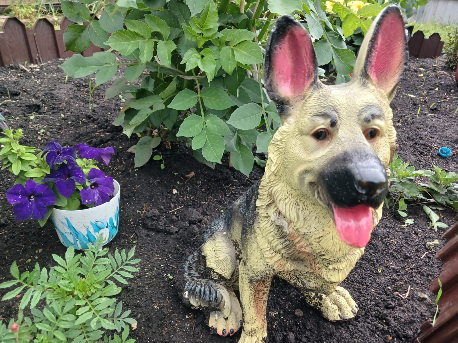 Васили Саитовой.