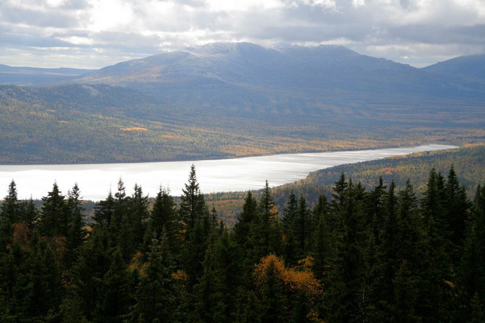 Фото автора.