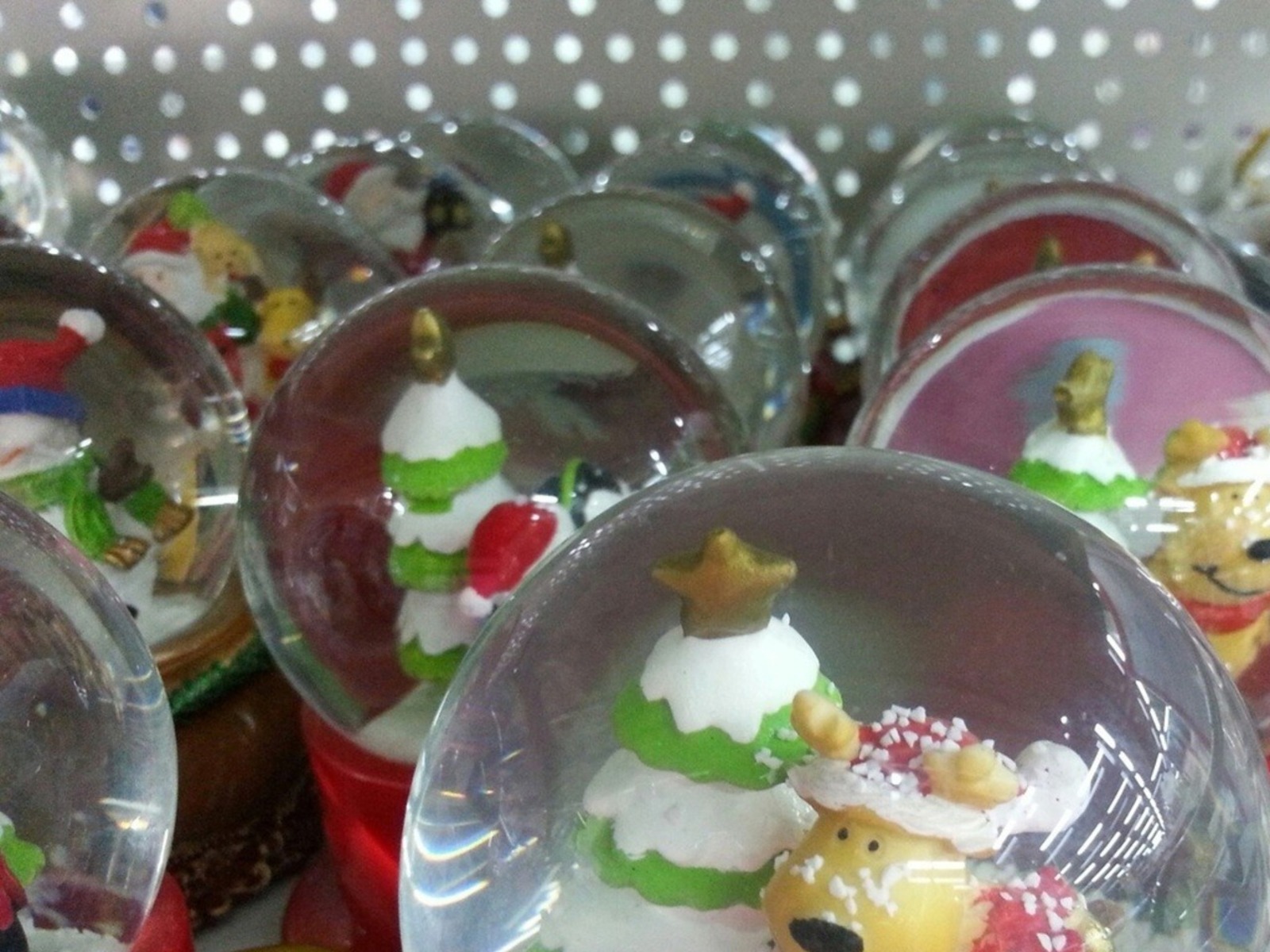 Дарьи Святохиной.