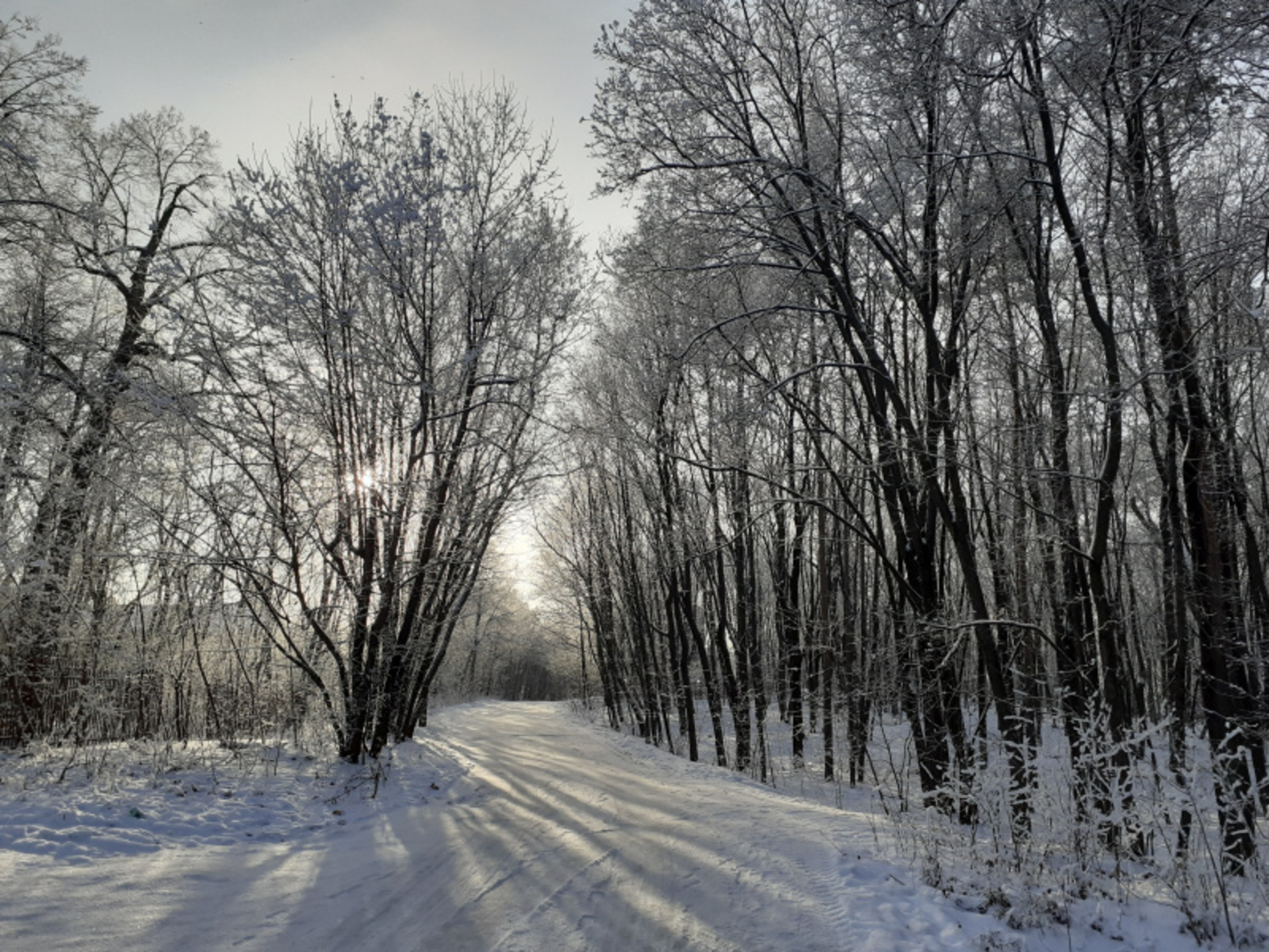 Фото автора.