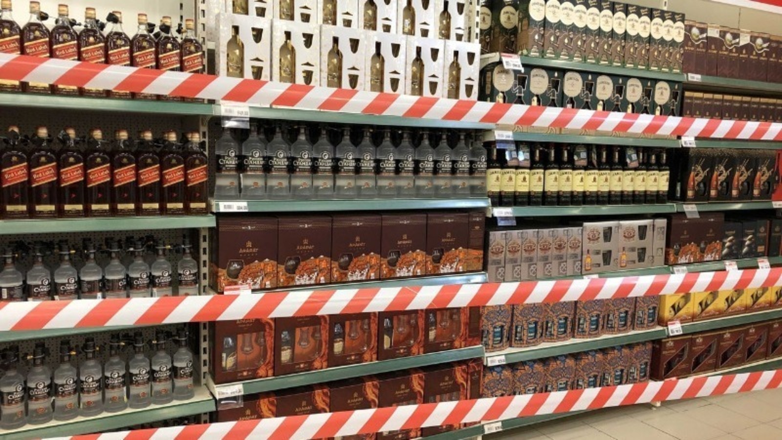 Елены Колоколовой.