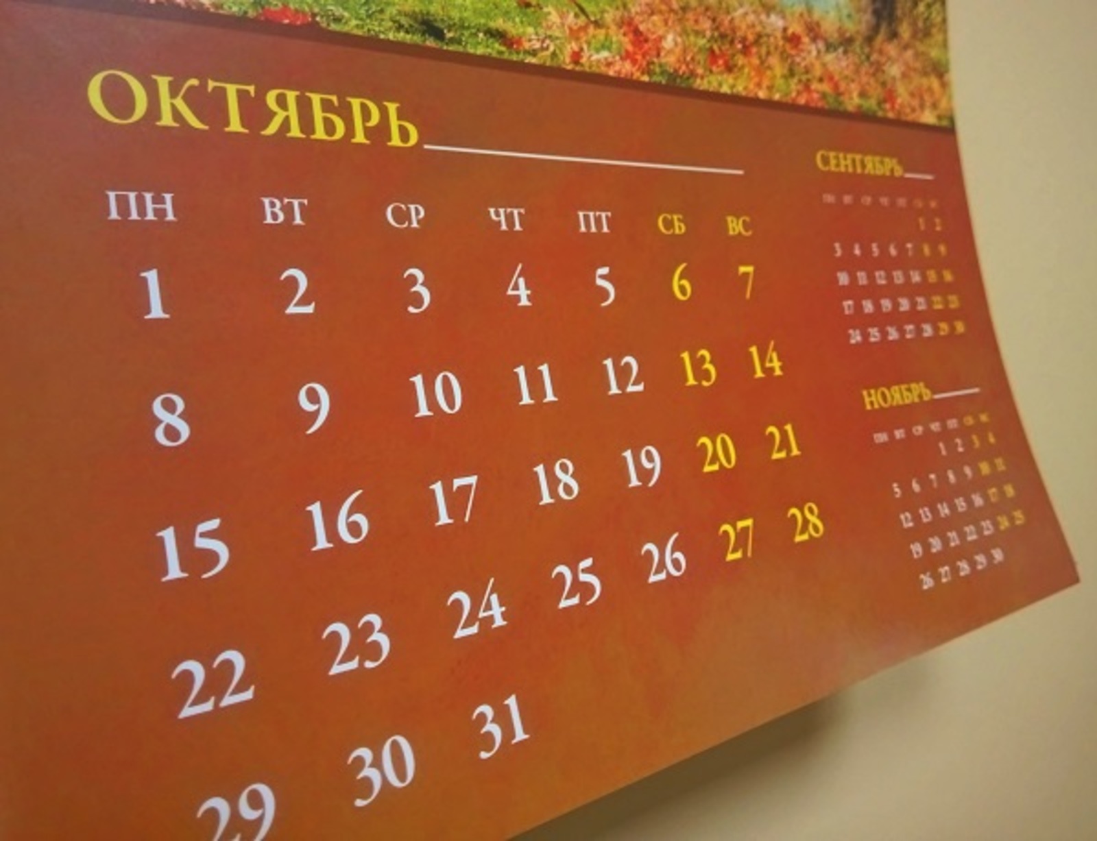 Фото Васили Саитовой.