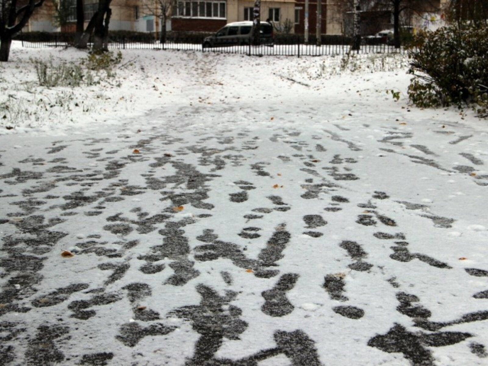 Фото Олега Яровикова.