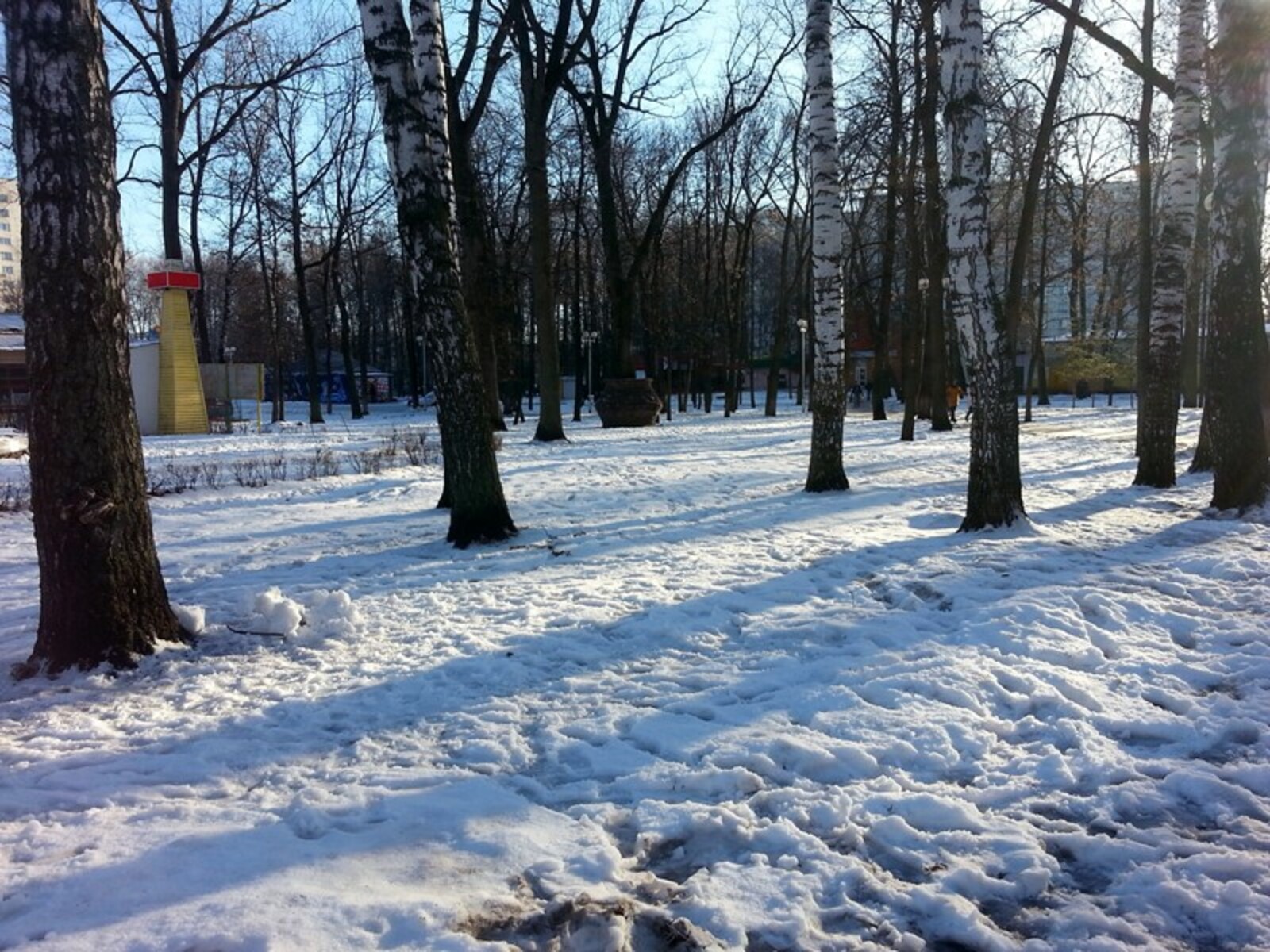 Фото автора.