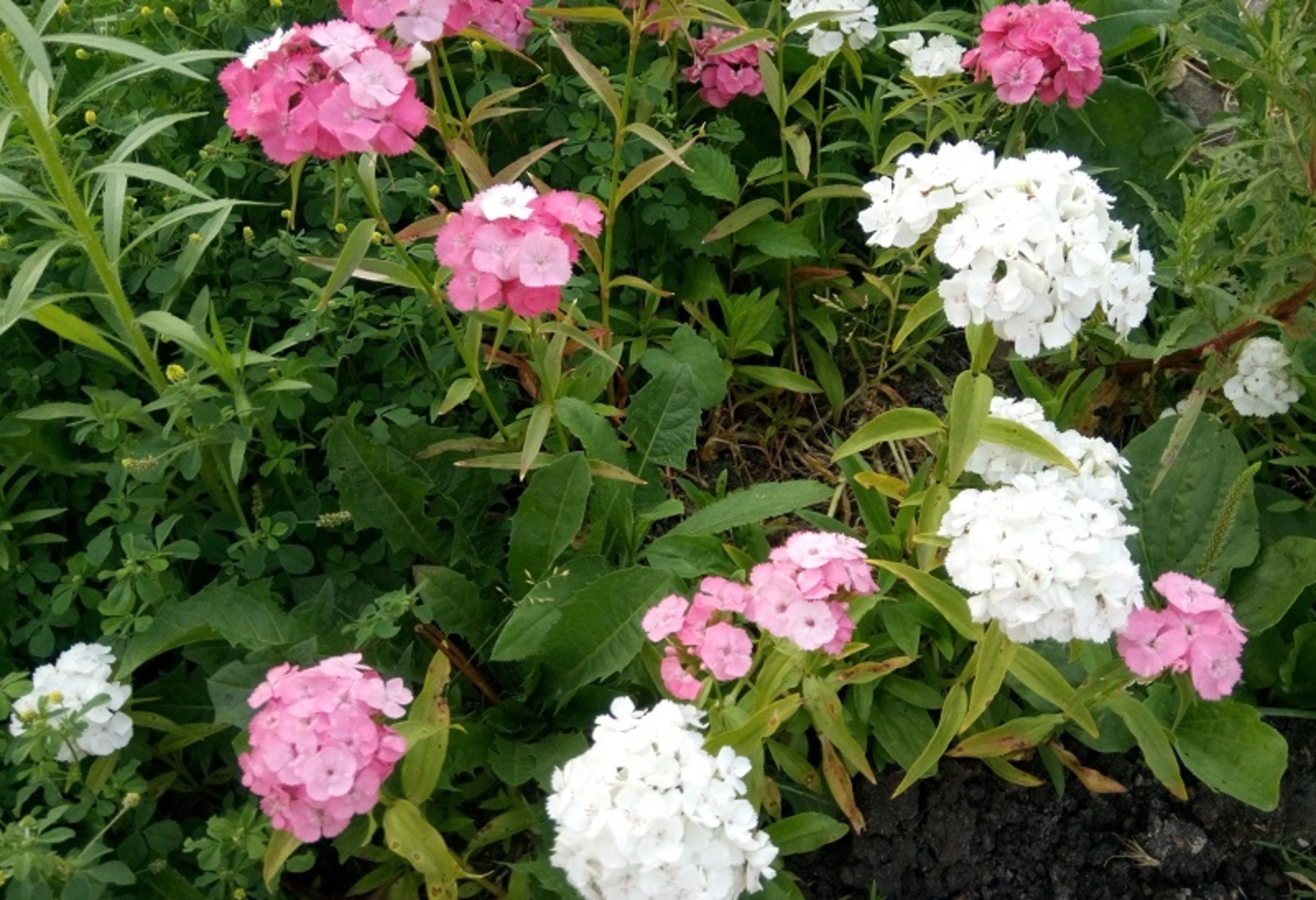 Фото Васили Саитовой.