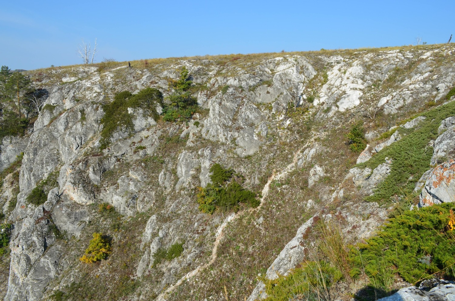 Владимира Шакиева.