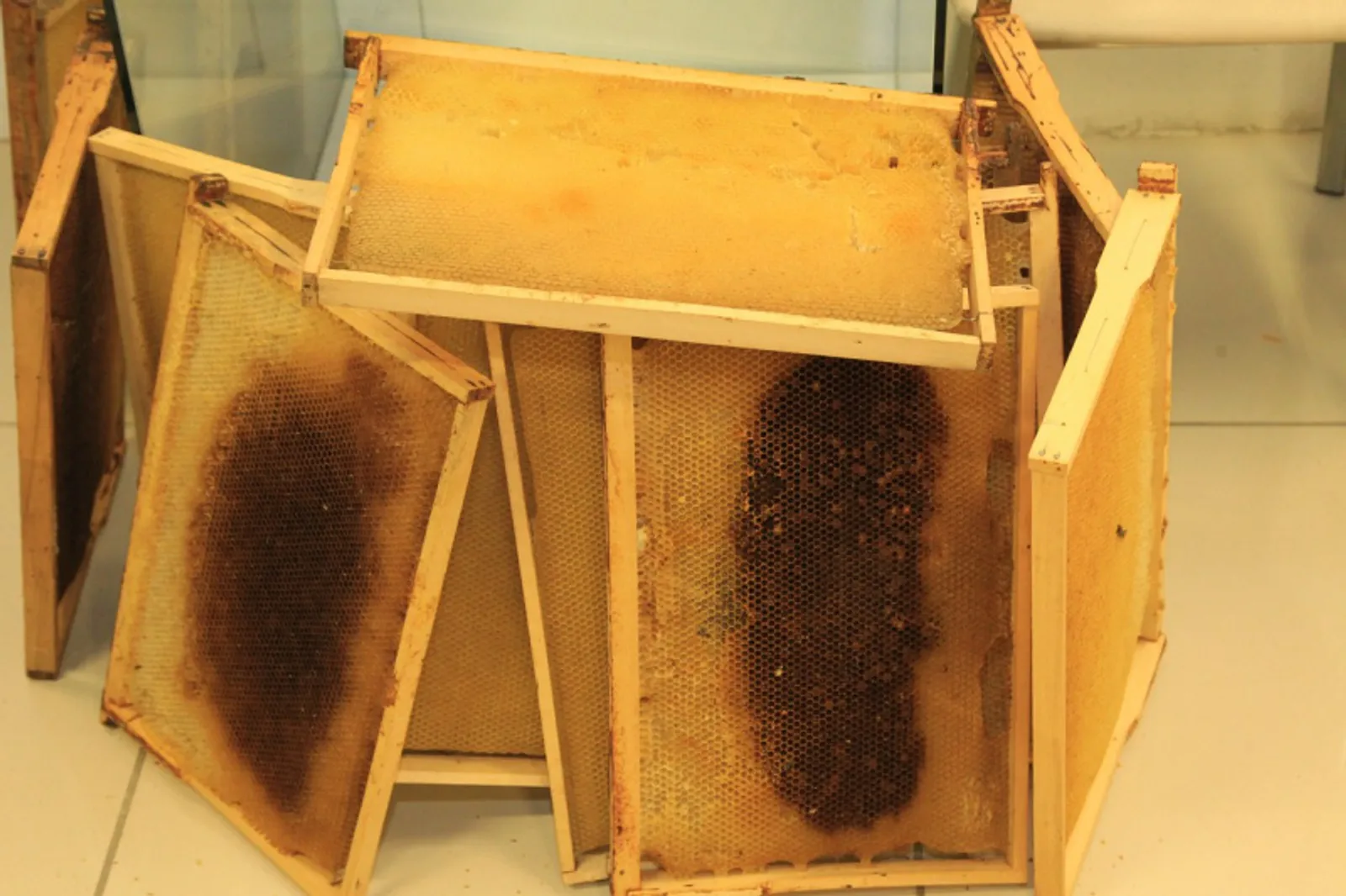 Фото автора.