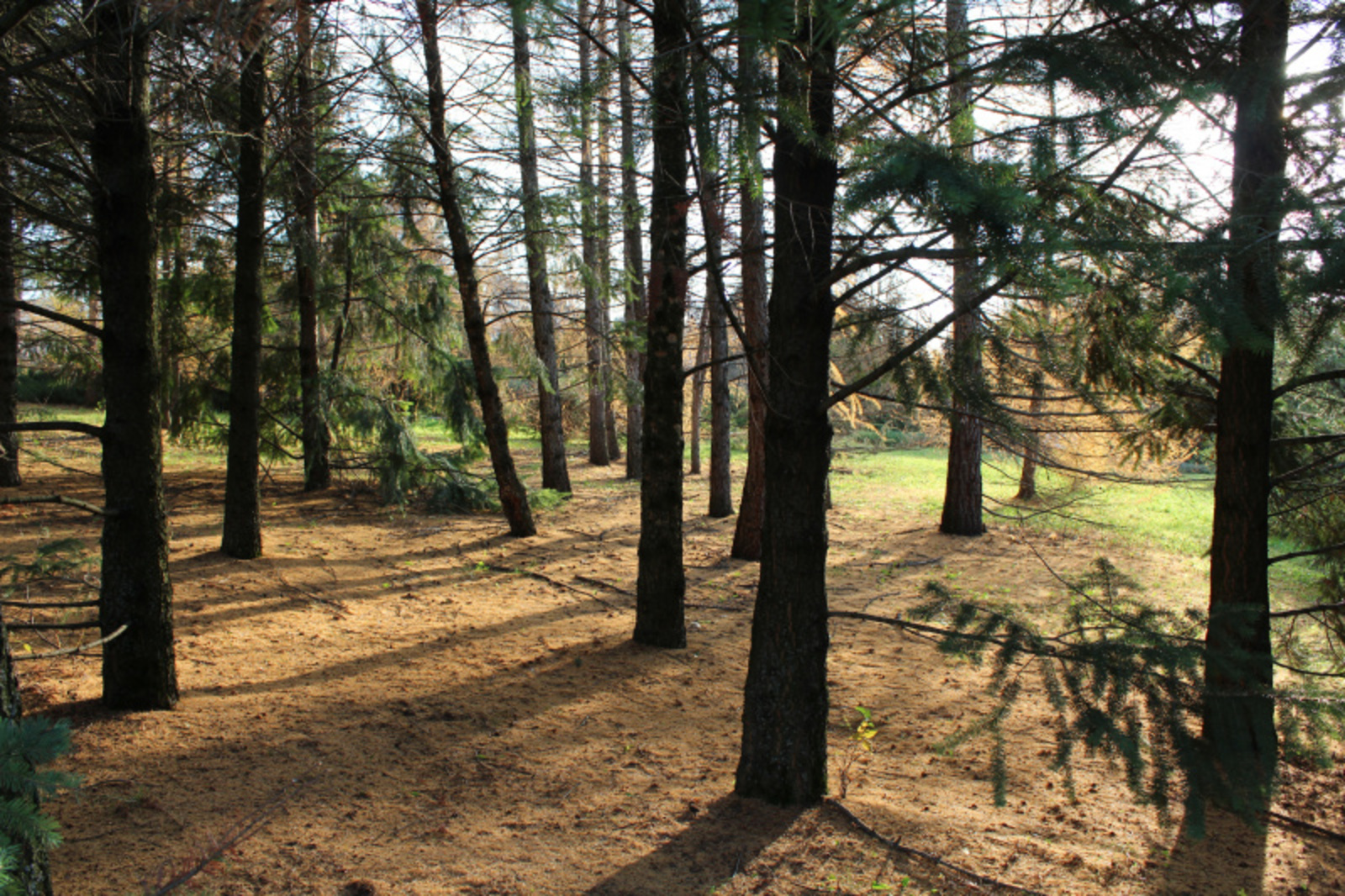 Фото автора.