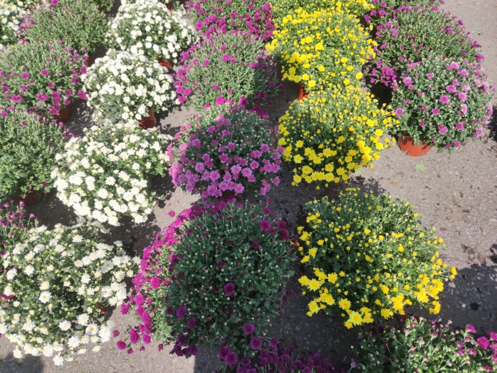 Дарьи Святохиной.