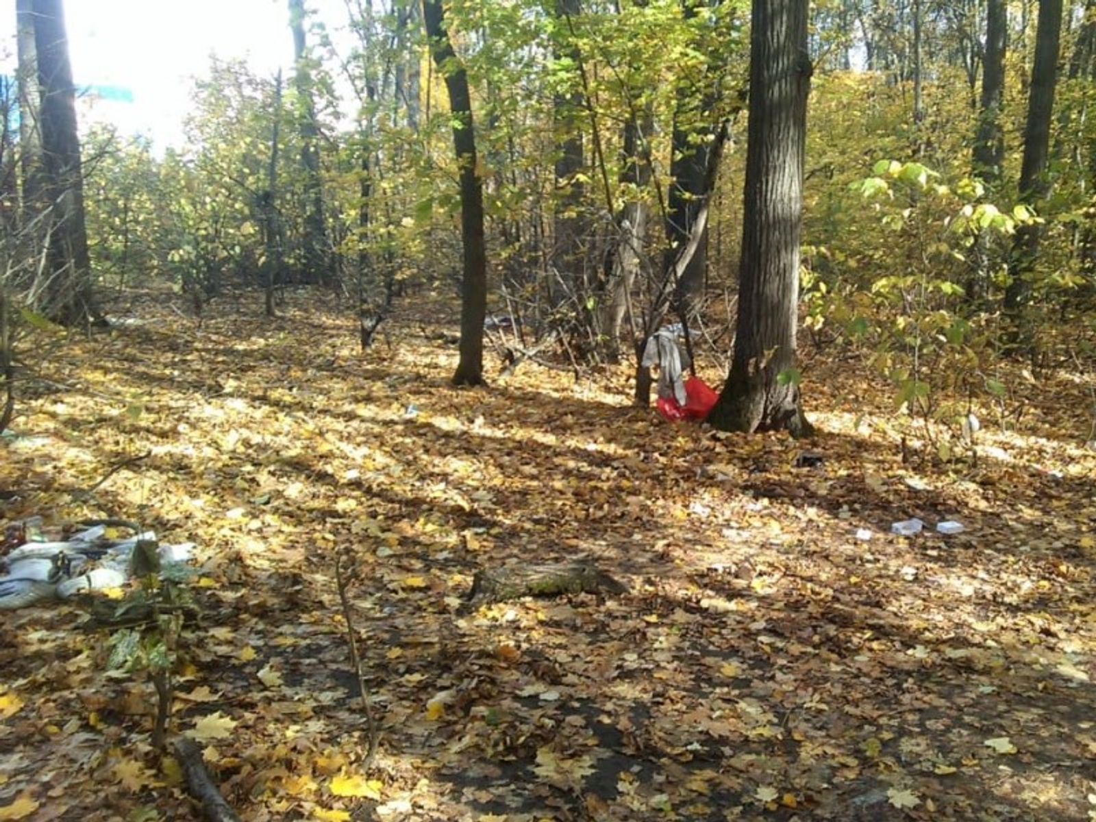 Фото предоставлено Риммой С.