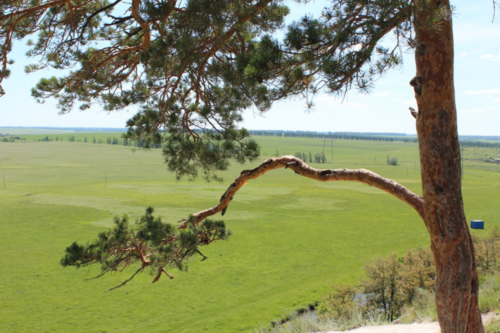 Фото автора.