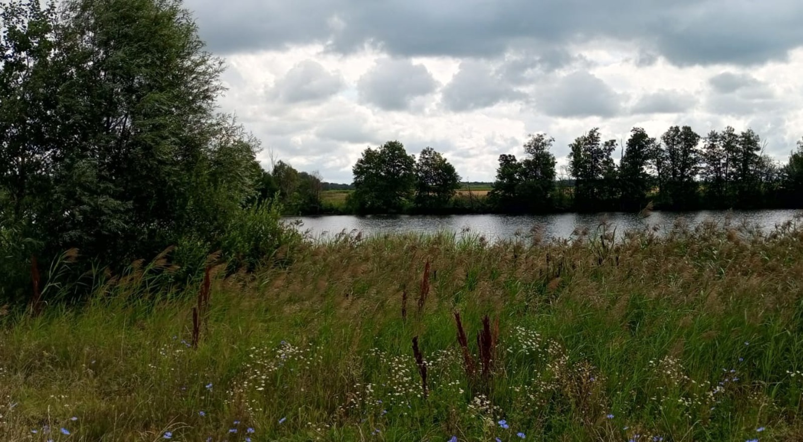 Евгении Сюткиной.