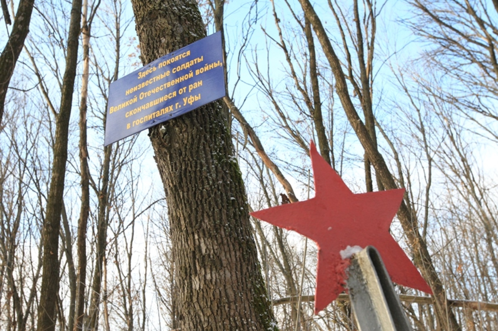 Фото Олега Яровикова.