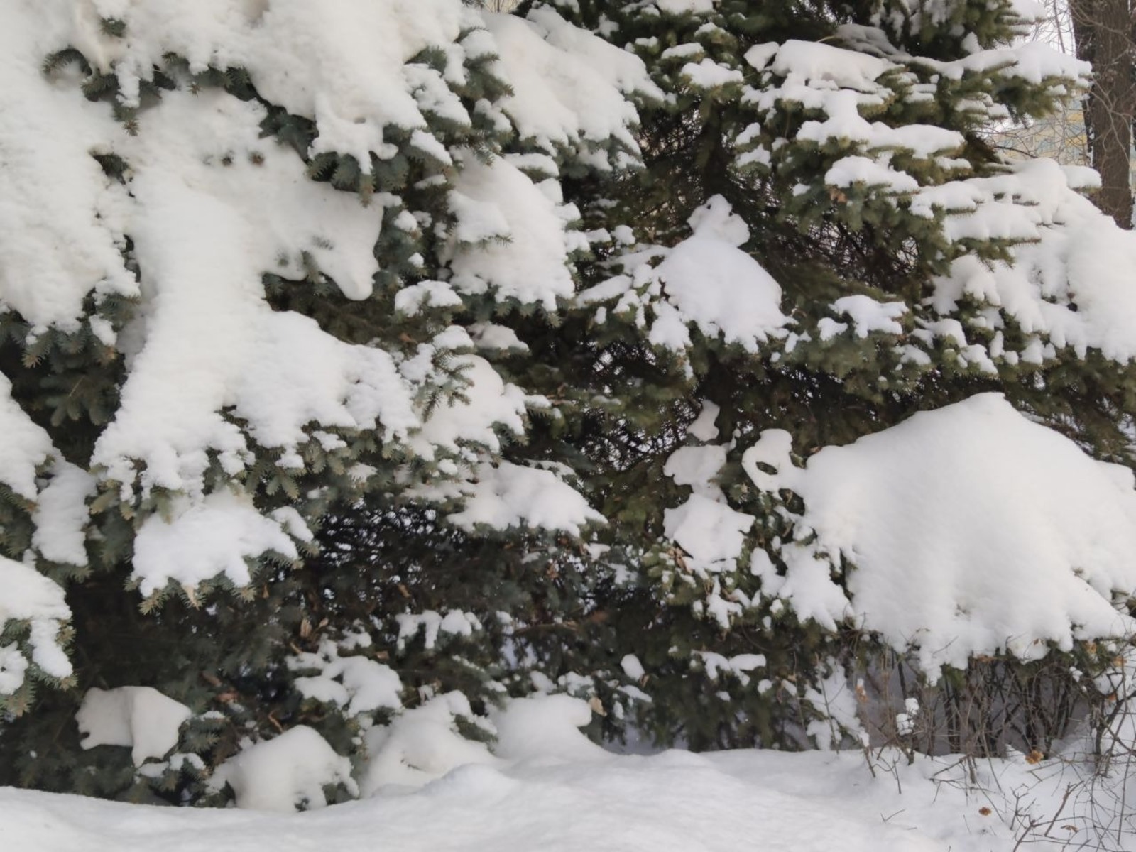 Дарьи Святохиной. «Общественная электронная газета».