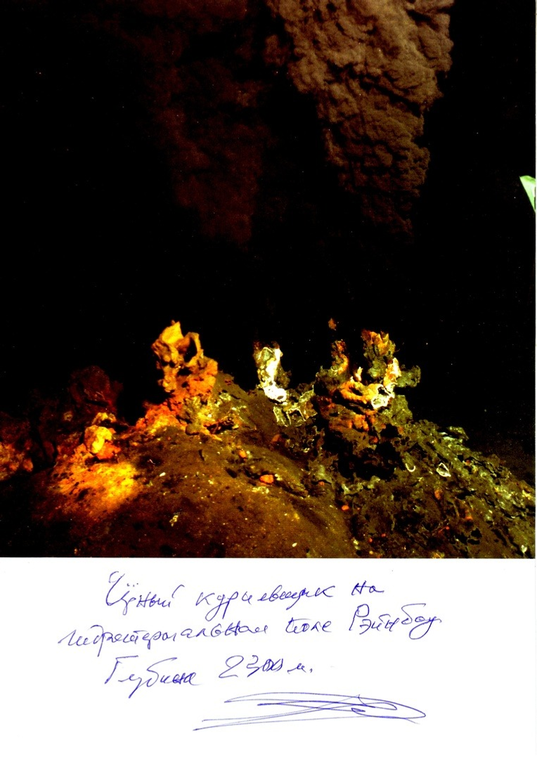предоставлено Игорем Данилко. Чёрный курильщик на гидротермальном поле Рейнбоу. Глубина 2300 метров.