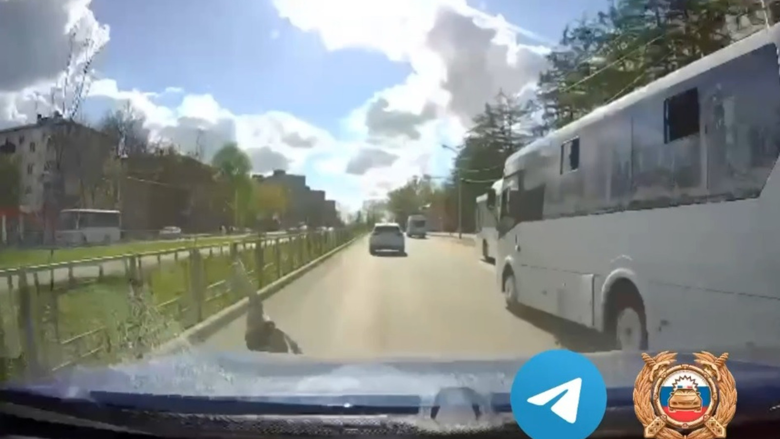 скриншот видео.