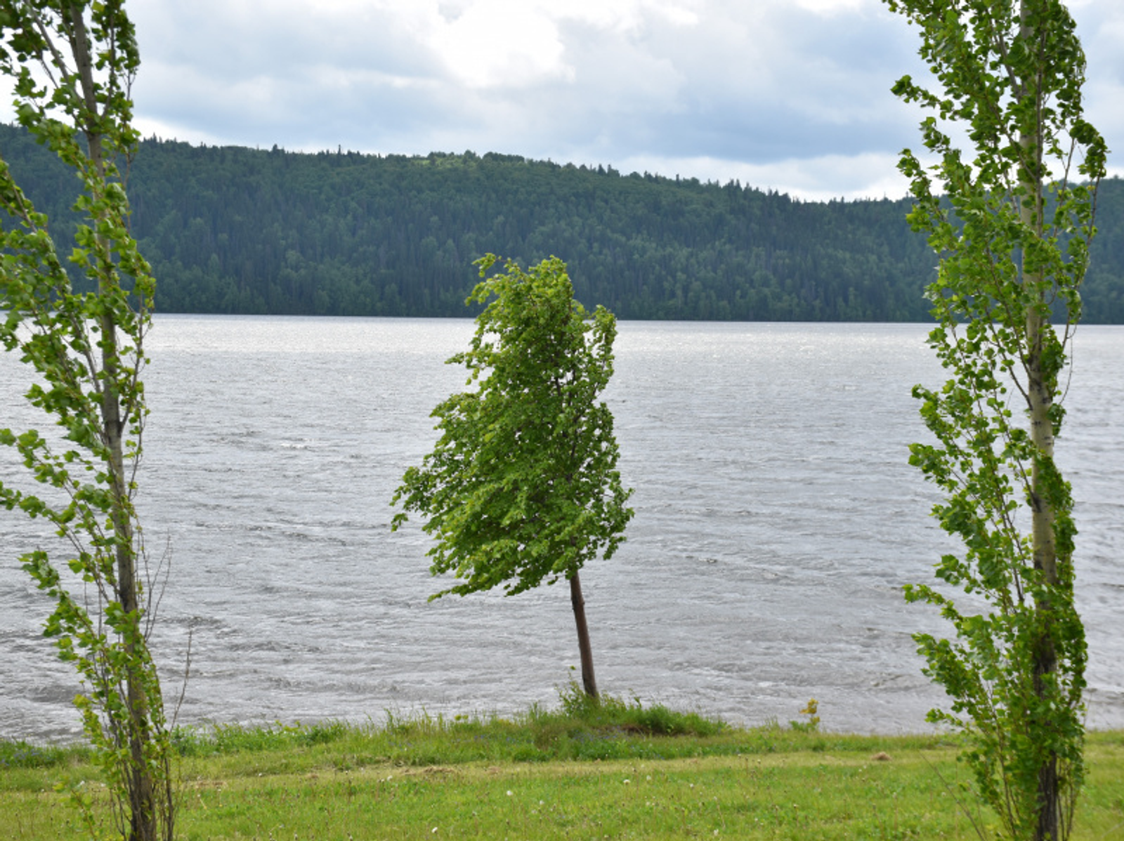Фото Елены Колоколовой.