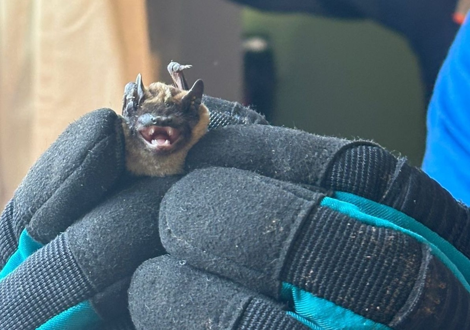 Telegram Управления гражданской защиты Уфы.