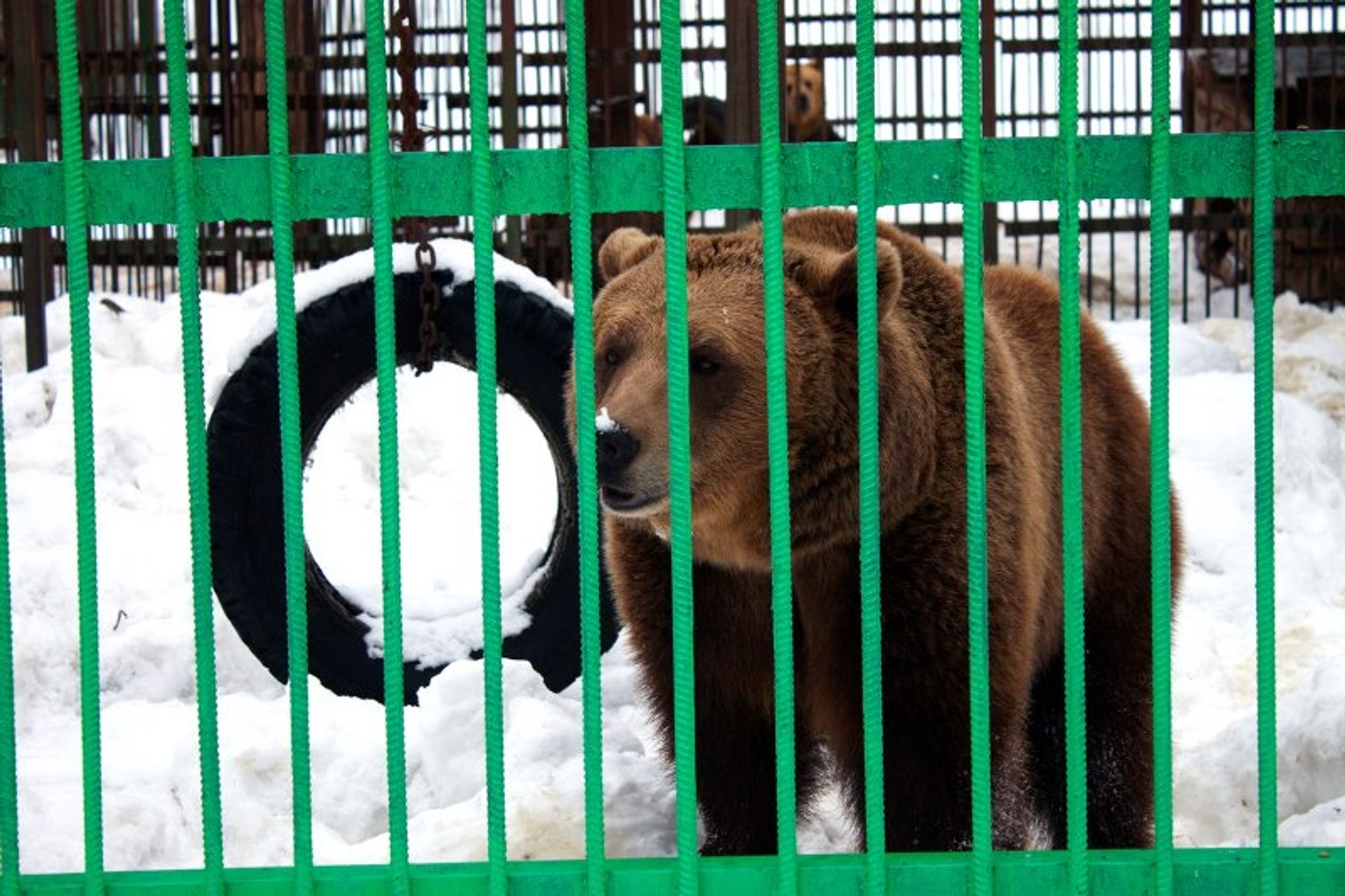 Фото автора.