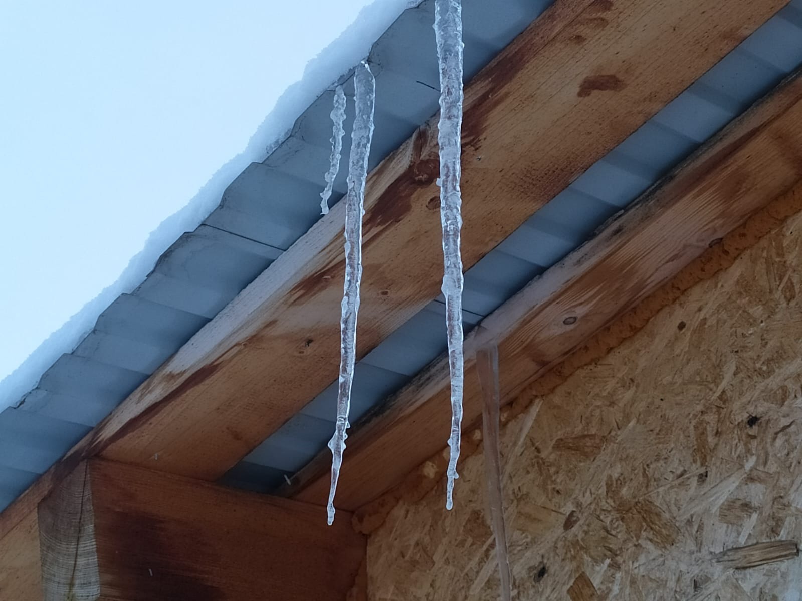 Васили Саитовой.