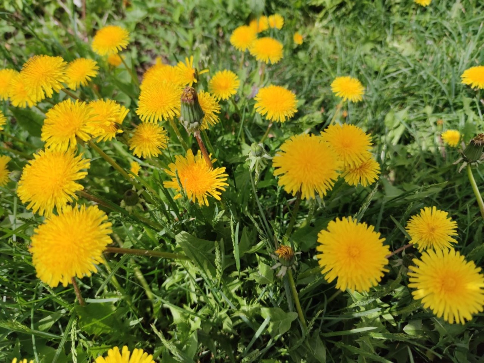 Дарьи Святохиной.